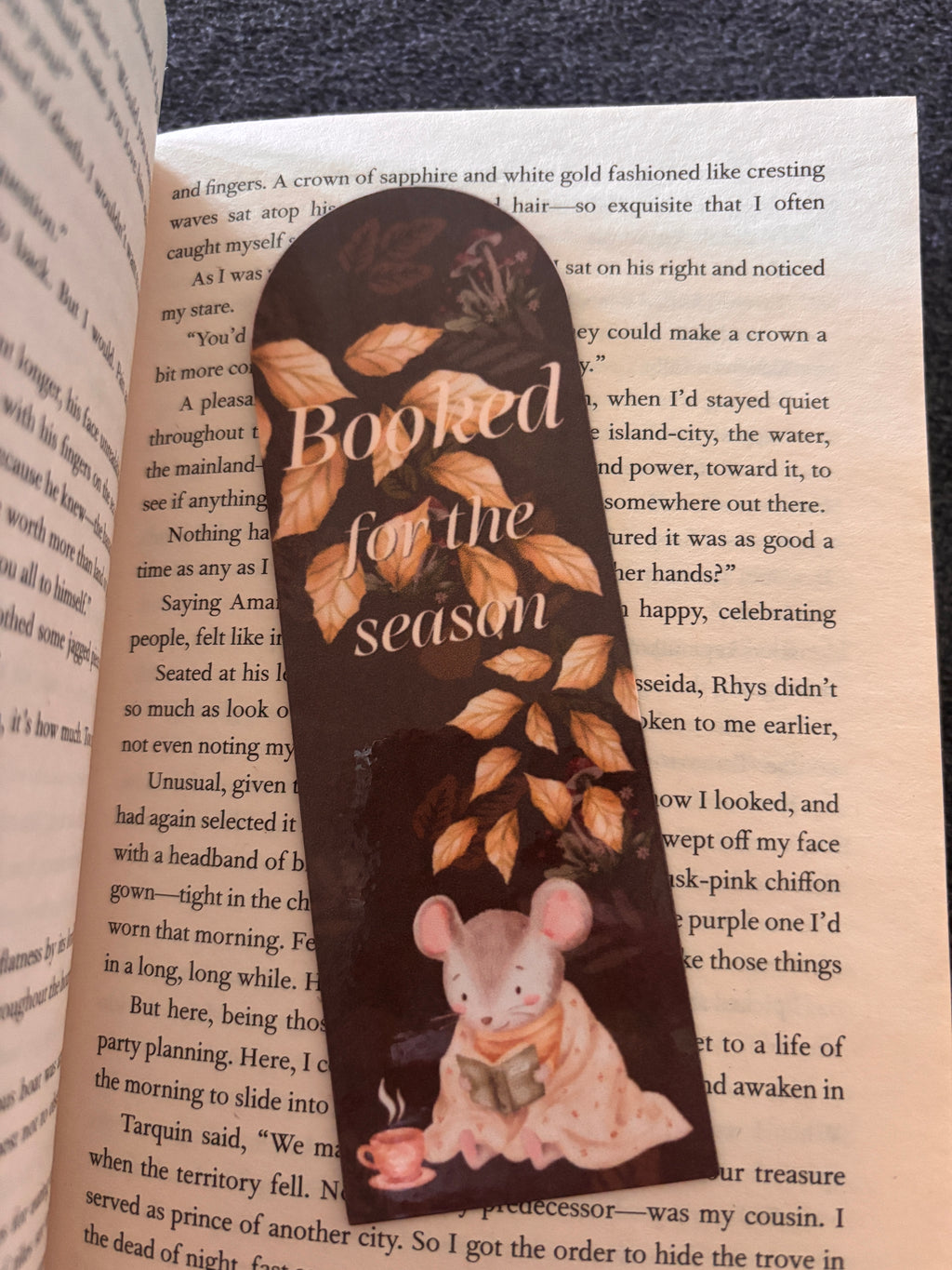 Booked for the season bookmark