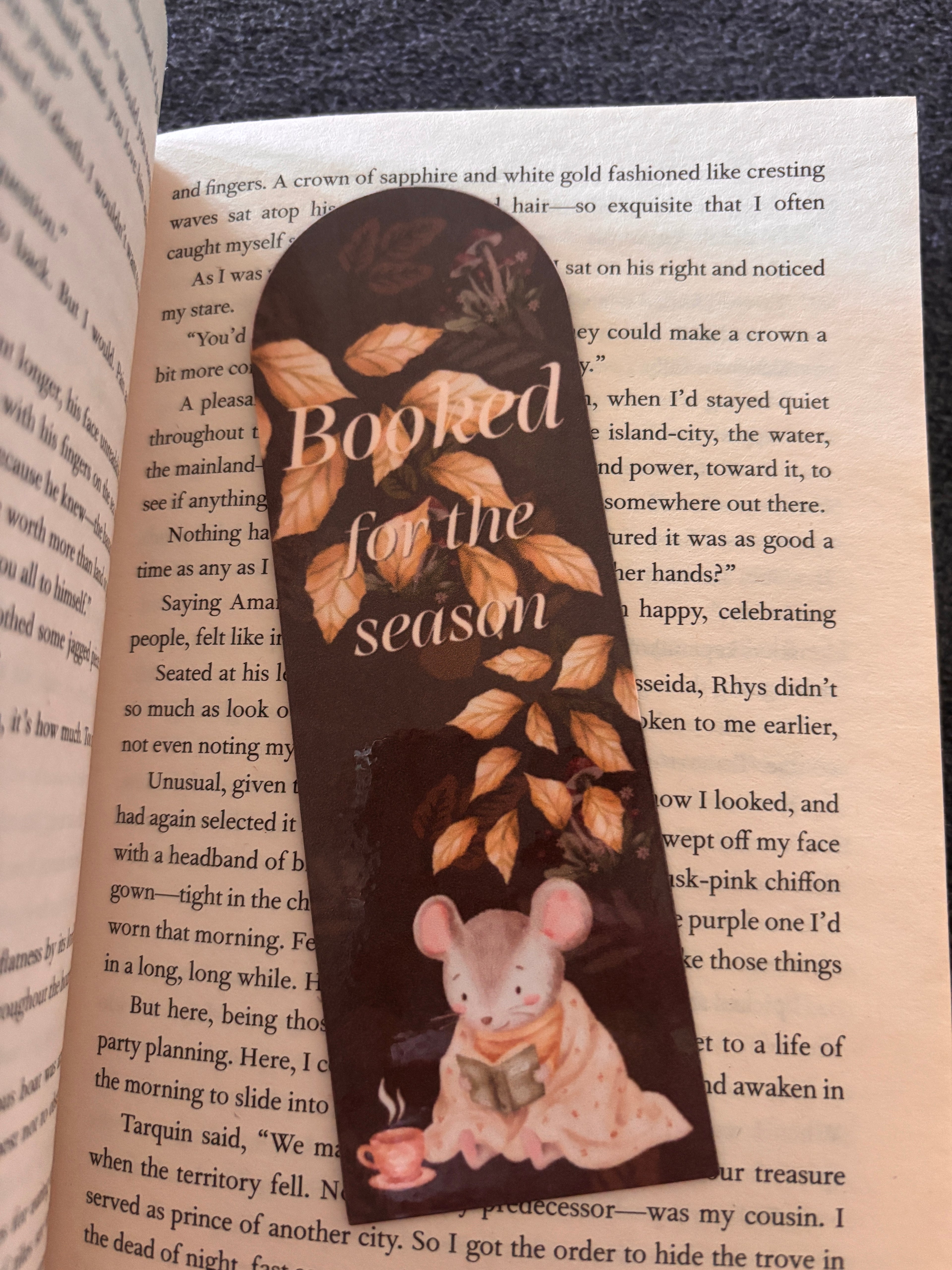 Booked for the season bookmark