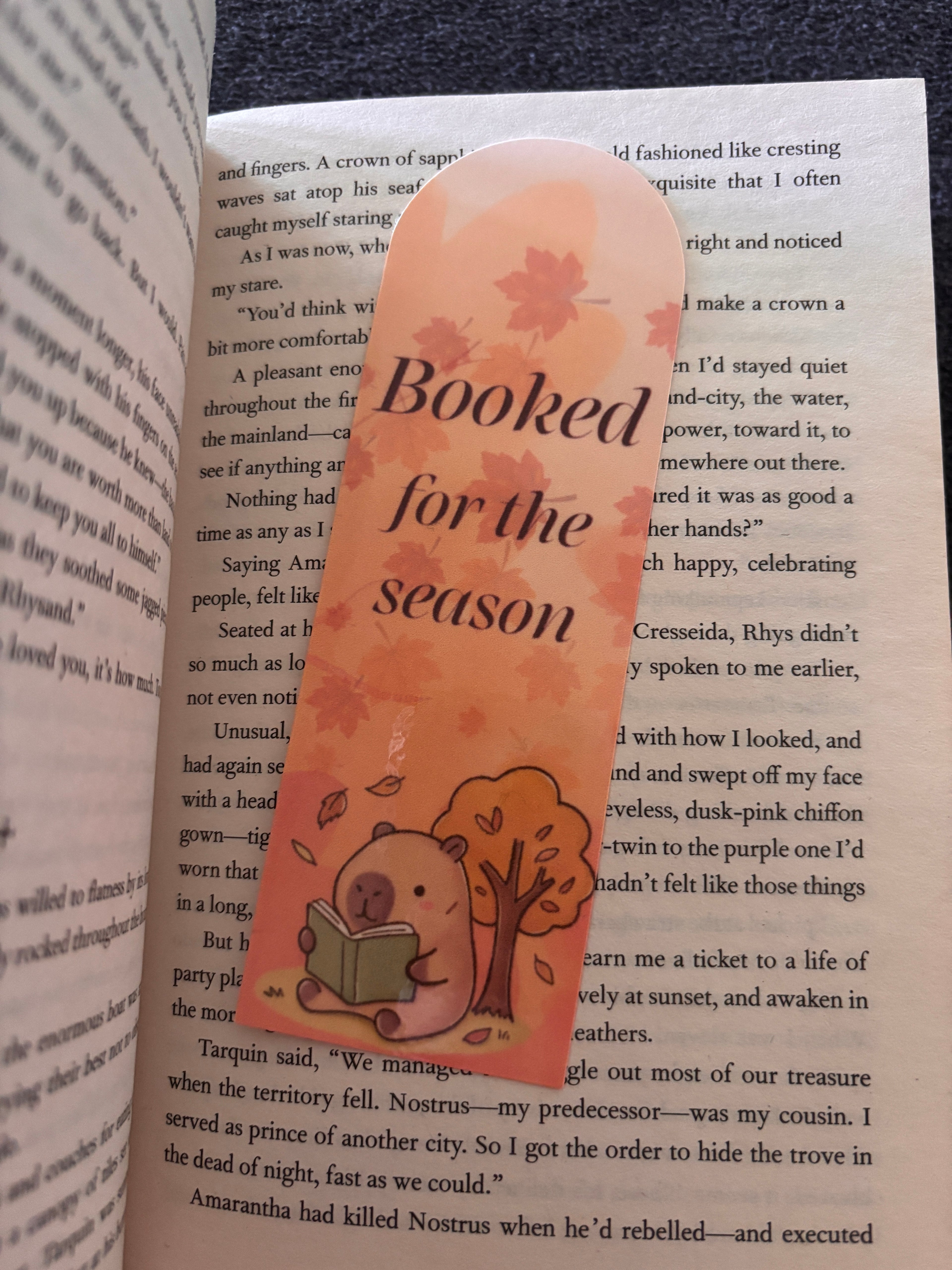 Booked for the season bookmark