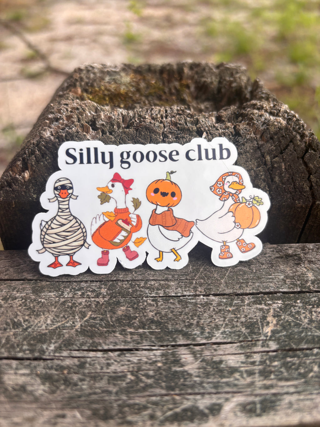Silly goose club sticker