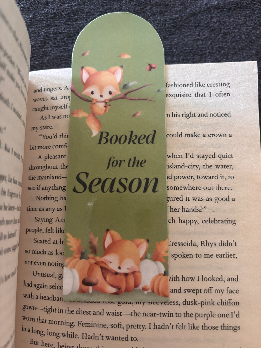 Booked for the season bookmark