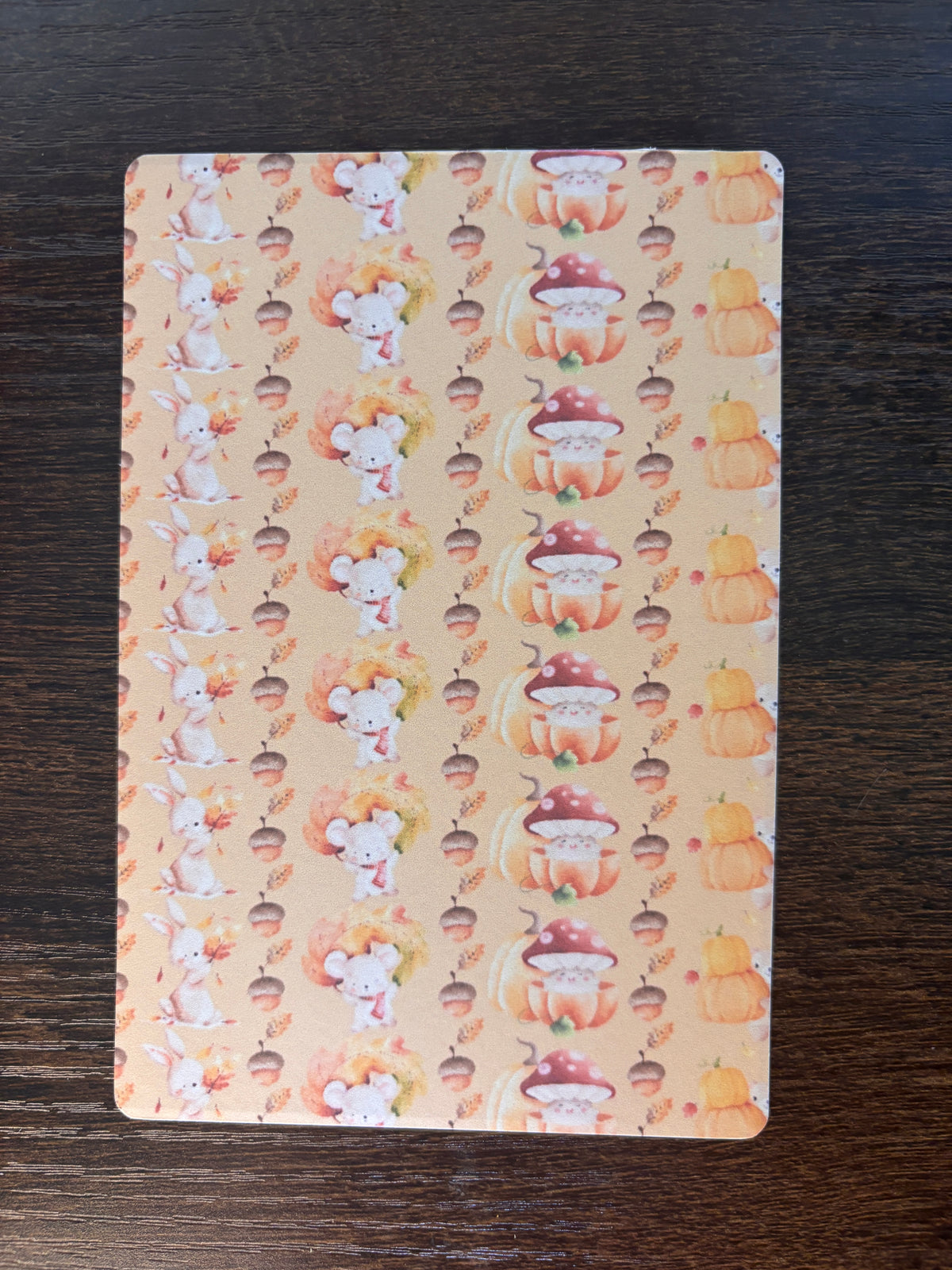 Kindle inserts